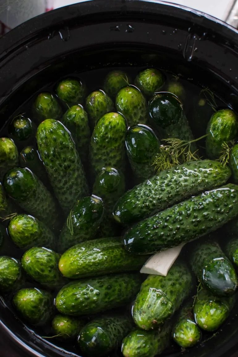 Small cucumbers in brine with dill and garlic, ready for fermenting